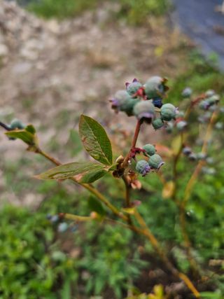 박소원님의 자유주제 · 자유게시판 작성글 사진