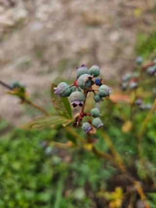 박소원님의 자유주제 · 자유게시판 작성글 사진