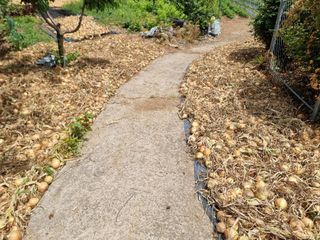 정영기대산축산농부♡님의 자유주제 · 자유게시판 작성글 사진