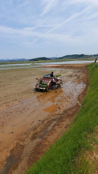 둥이농장(김준태)님의 6월 농사계획🧑🏻‍🌾 · 참여글 작성글 사진