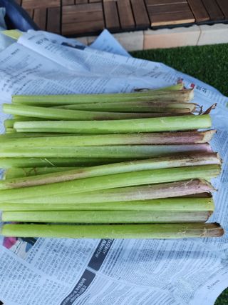 권지연.옥천.님의 자유주제 · 자유게시판 작성글 사진