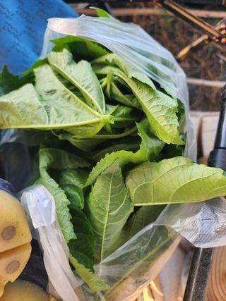 권지연.옥천.님의 자유주제 · 자유게시판 작성글 사진