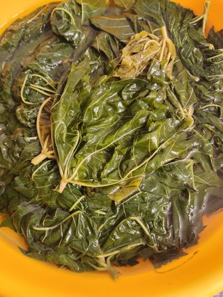 권지연.옥천.님의 자유주제 · 자유게시판 작성글 사진