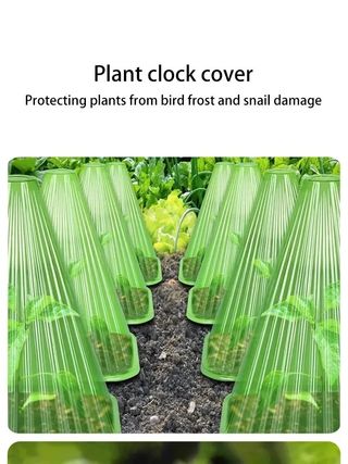 바이털사인님의 작성글 사진