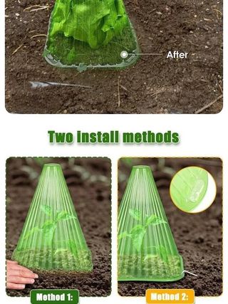 바이털사인님의 작성글 사진