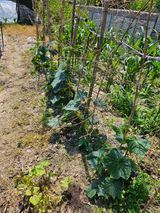 팜모닝 자유주제·사진전 게시글 이미지