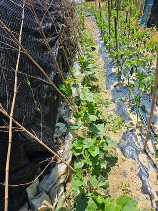 유진식님의 자유주제 · 사진전 작성글 사진