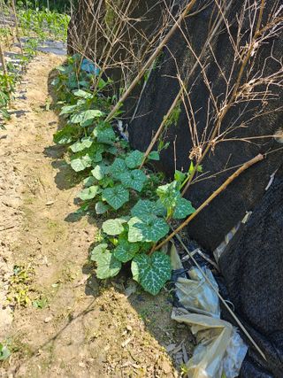 유진식님의 자유주제 · 사진전 작성글 사진