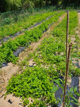 유진식님의 자유주제 · 사진전 작성글 사진