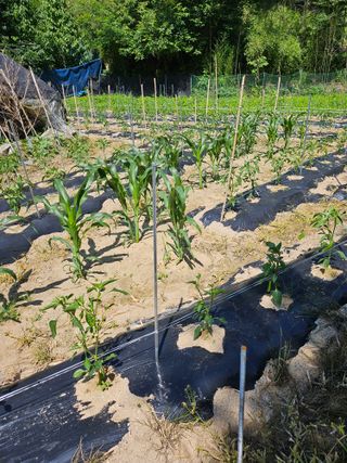 유진식님의 자유주제 · 사진전 작성글 사진