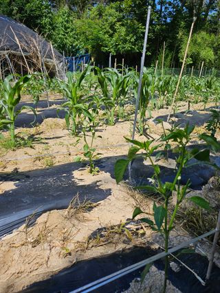 유진식님의 자유주제 · 사진전 작성글 사진