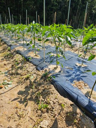 유진식님의 자유주제 · 사진전 작성글 사진