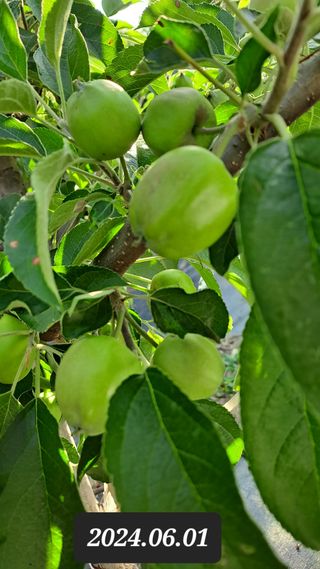 김성환님의 6월 농사계획🧑🏻‍🌾 · 참여글 작성글 사진