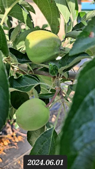 김성환님의 6월 농사계획🧑🏻‍🌾 · 참여글 작성글 사진