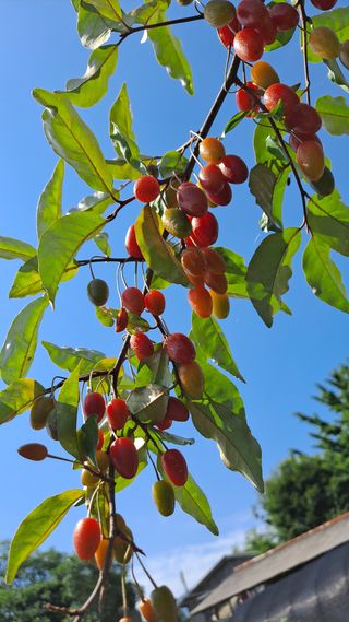 김성환님의 6월 농사계획🧑🏻‍🌾 · 참여글 작성글 사진