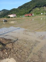 팜모닝 자유주제·건의해요 게시글 이미지