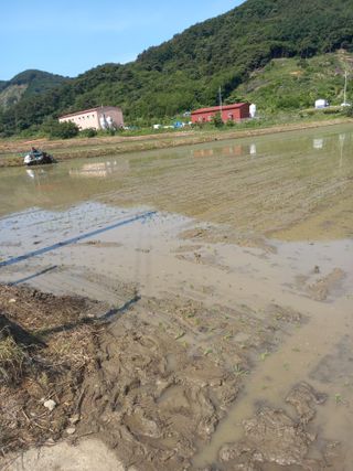 인간문화재님의 자유주제 · 건의해요 작성글 사진