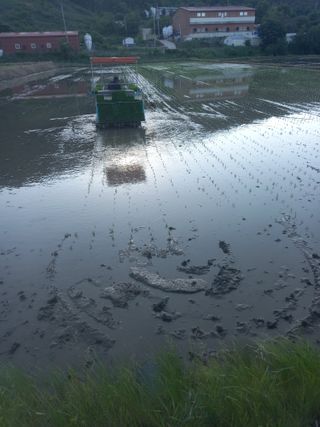 인간문화재님의 자유주제 · 건의해요 작성글 사진