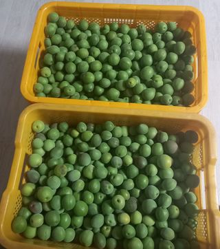 최정미여사님의 자유주제 · 사진전 작성글 사진