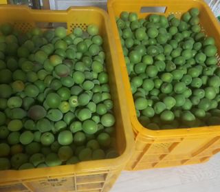 최정미여사님의 자유주제 · 사진전 작성글 사진