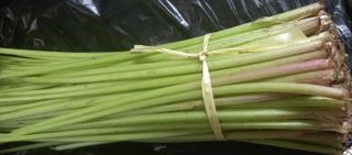 최정미여사님의 자유주제 · 사진전 작성글 사진