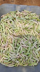 팜모닝 자유주제·자유게시판 게시글 이미지