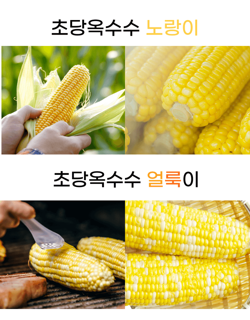 장터 상품 [제주의 달달 초당옥수수] 썸네일