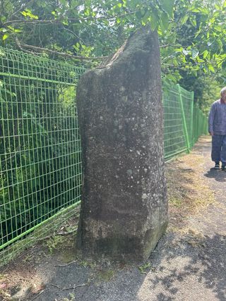 치유숲모이라양재순님의 자유주제 · 자유게시판 작성글 사진