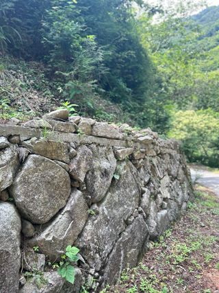 치유숲모이라양재순님의 자유주제 · 자유게시판 작성글 사진