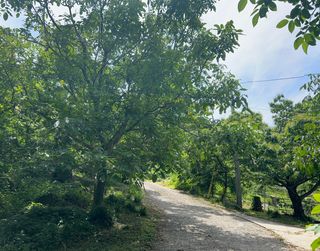 치유숲모이라양재순님의 자유주제 · 자유게시판 작성글 사진