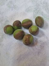 팜모닝 자유주제·자유게시판 게시글 이미지