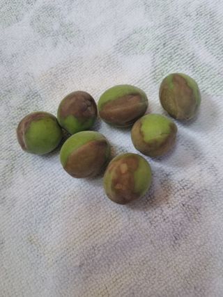 이종희님의 자유주제 · 자유게시판 작성글 사진