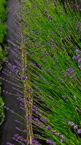 팜모닝 자유주제·사진전 게시글 이미지