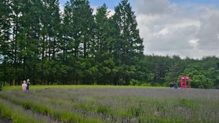 요리하는 농부님의 자유주제 · 사진전 작성글 사진