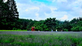 요리하는 농부님의 자유주제 · 사진전 작성글 사진