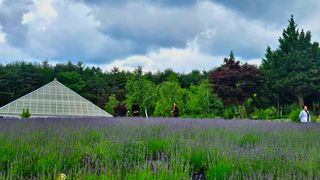 요리하는 농부님의 자유주제 · 사진전 작성글 사진