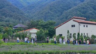 요리하는 농부님의 자유주제 · 사진전 작성글 사진