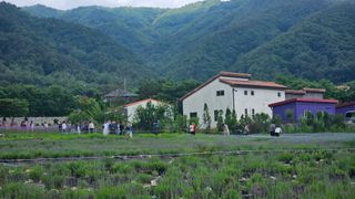 요리하는 농부님의 자유주제 · 사진전 작성글 사진