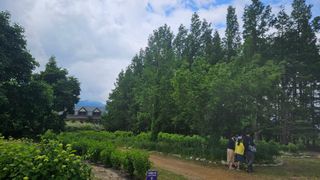 요리하는 농부님의 자유주제 · 사진전 작성글 사진