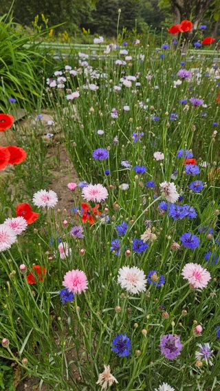 요리하는 농부님의 자유주제 · 사진전 작성글 사진