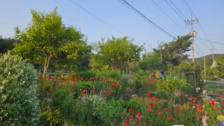 요리하는 농부님의 자유주제 · 사진전 작성글 사진