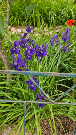 요리하는 농부님의 자유주제 · 사진전 작성글 사진