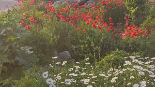 요리하는 농부님의 자유주제 · 사진전 작성글 사진