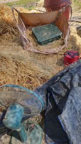 팜모닝 자유주제·자유게시판 게시글 이미지