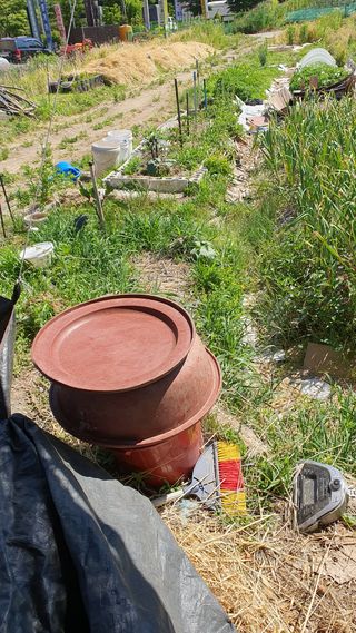 황의성님의 자유주제 · 자유게시판 작성글 사진