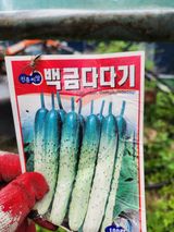 팜모닝 농사, 무엇이든 물어보세요!·참여글 게시글 이미지