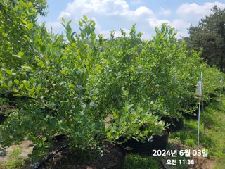 동우농장(김대욱)님의 자유주제 · 자유게시판 작성글 사진