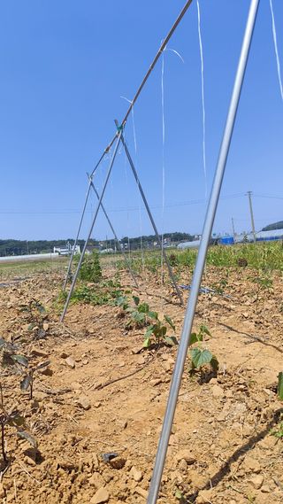 윤충기님의 자유주제 · 사진전 작성글 사진