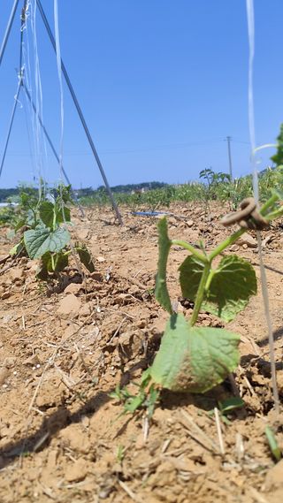 윤충기님의 자유주제 · 사진전 작성글 사진