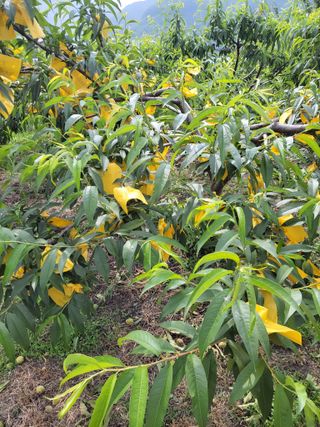 우영옥님의 자유주제 · 자유게시판 작성글 사진